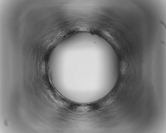X0000102510213200808291741