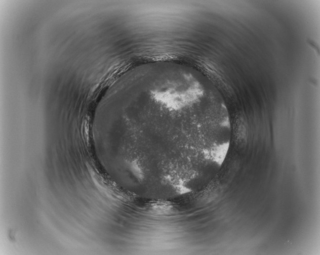 X0000102510214200808291741