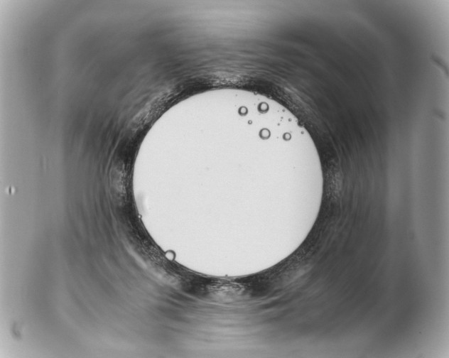 X0000102510215200808291741