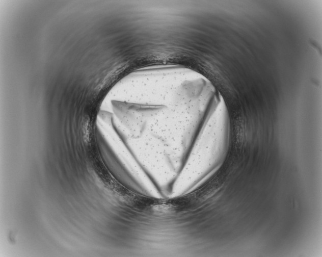 X0000102510216200808291741