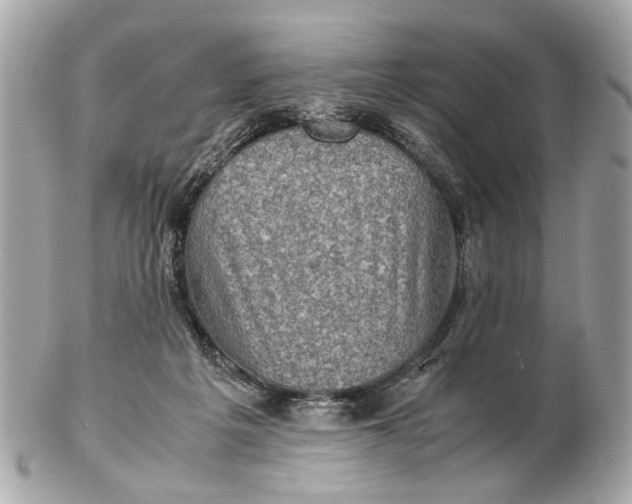 X0000102510217200808291741
