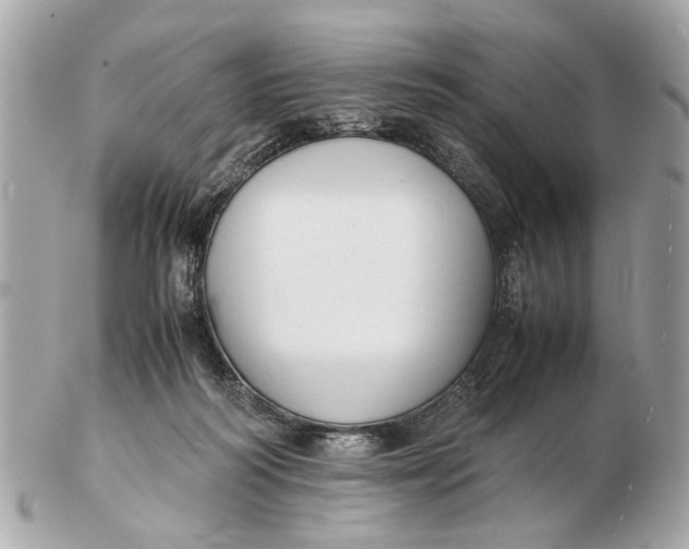 X0000102510218200808291741