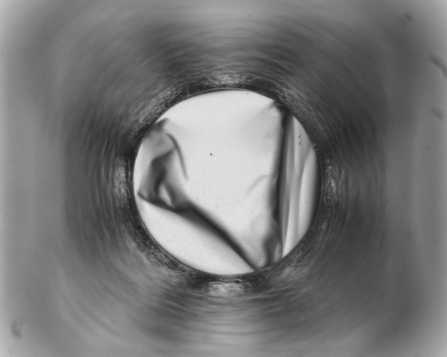 X0000102510220200808291741
