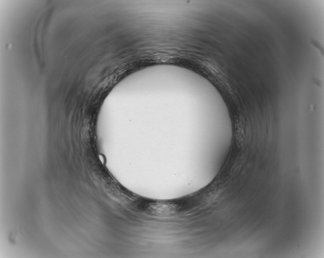 X0000102510221200808291741