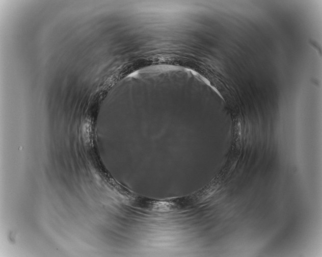 X0000102510222200808291741