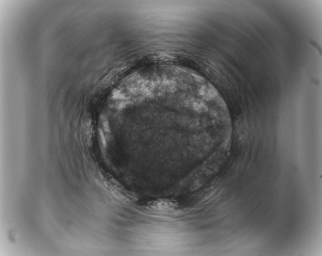 X0000102510223200808291741