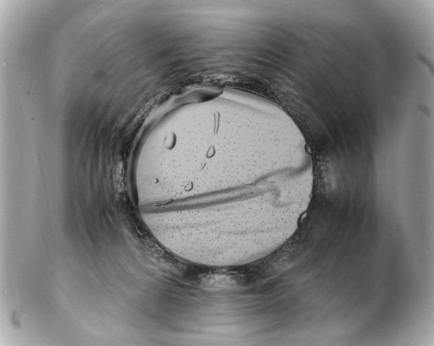 X0000102510224200808291741