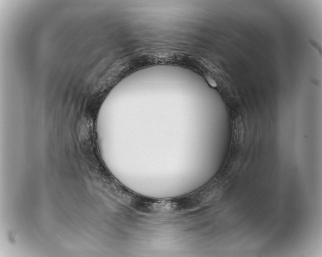 X0000102510225200808291741