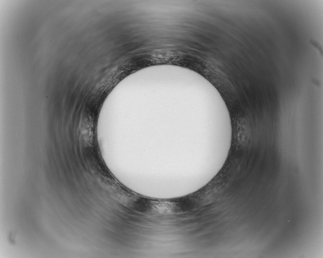 X0000102510226200808291741