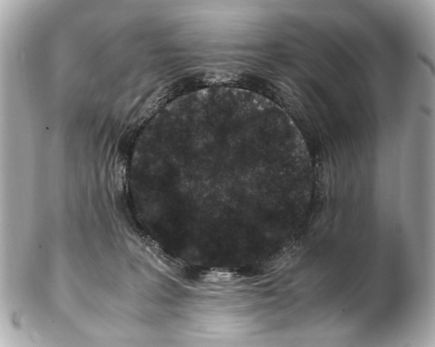 X0000102510227200808291741