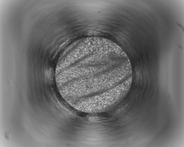 X0000102510228200808291741