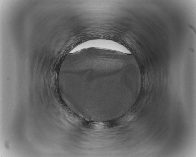 X0000102510229200808291741