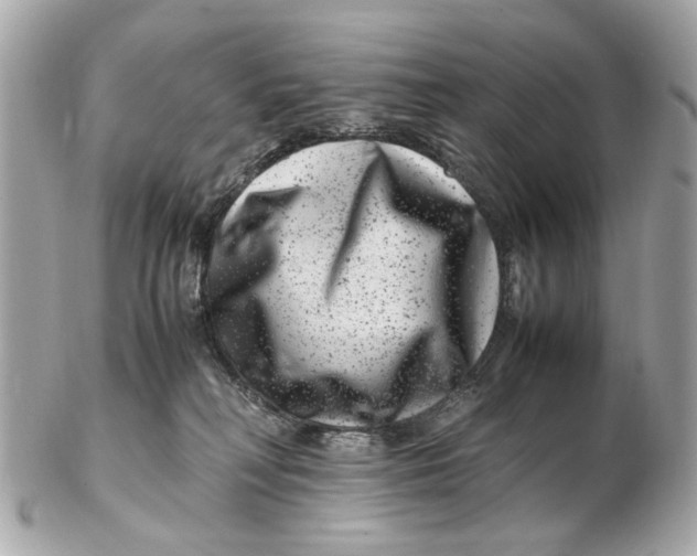 X0000102510230200808291741