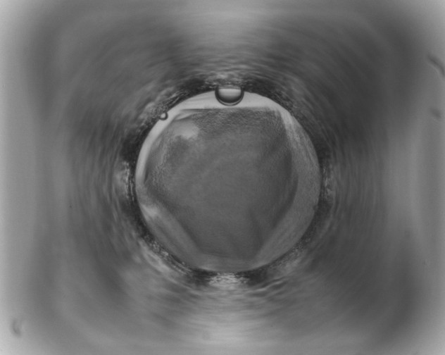 X0000102510231200808291741