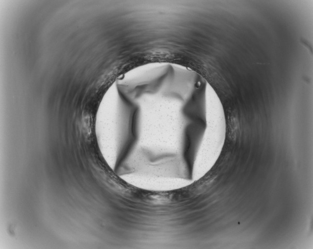 X0000102510232200808291741