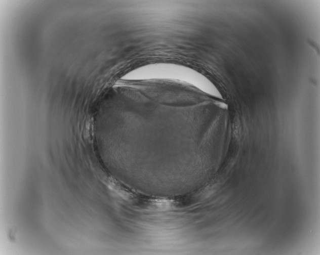 X0000102510233200808291741
