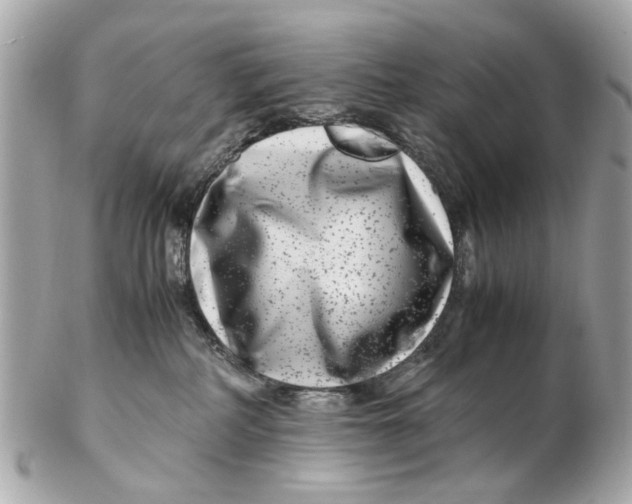 X0000102510234200808291741