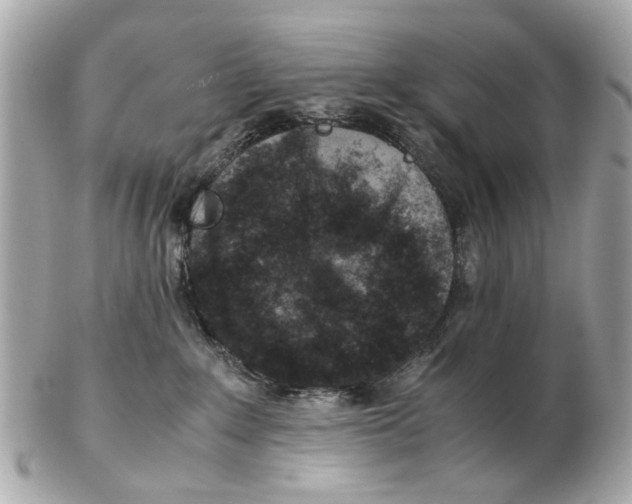 X0000102510235200808291741