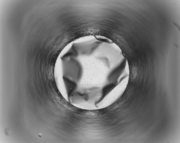 X0000102510236200808291741