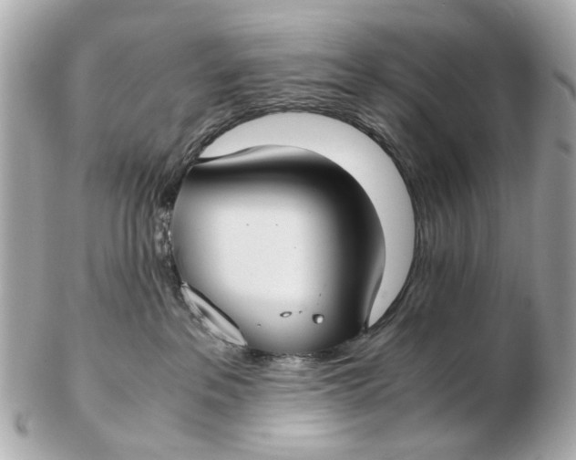 X0000102510237200808291741
