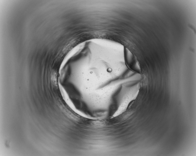 X0000102510238200808291741