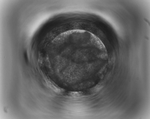X0000102510239200808291741