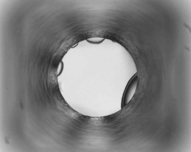 X0000102510240200808291741