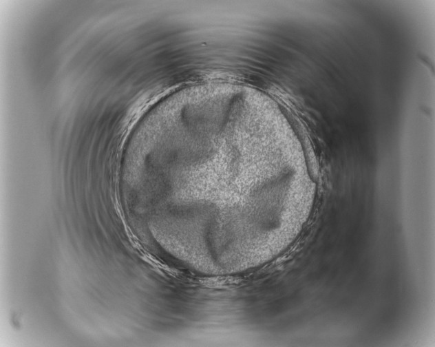 X0000102510241200808291740