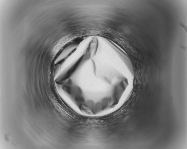 X0000102510242200808291740