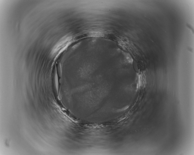 X0000102510243200808291740