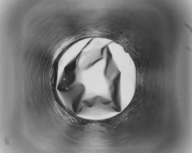 X0000102510244200808291740