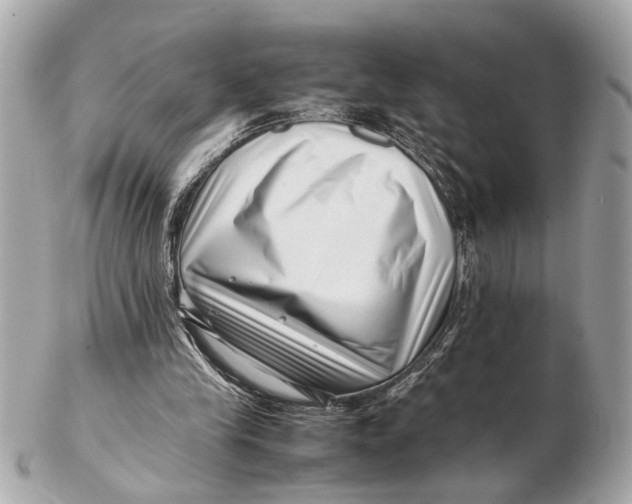 X0000102510245200808291740
