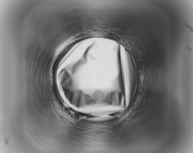 X0000102510246200808291740