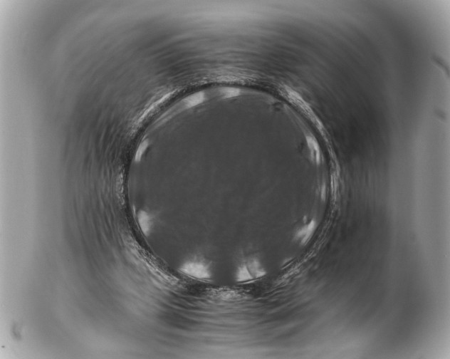 X0000102510249200808291740