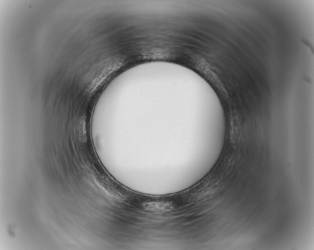 X0000102510251200808291740