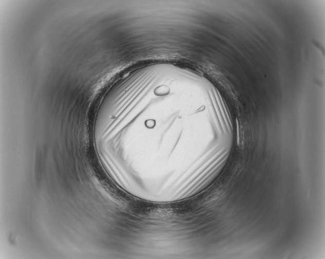 X0000102510252200808291740