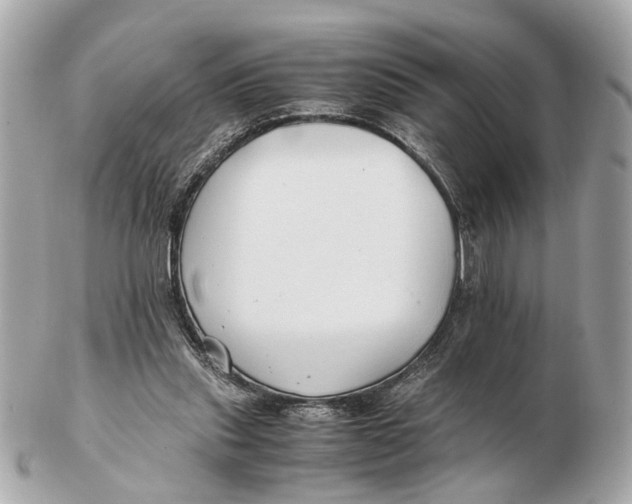 X0000102510253200808291740