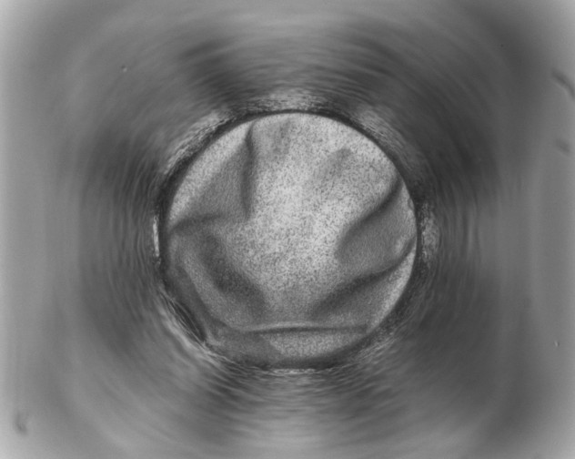 X0000102510254200808291740
