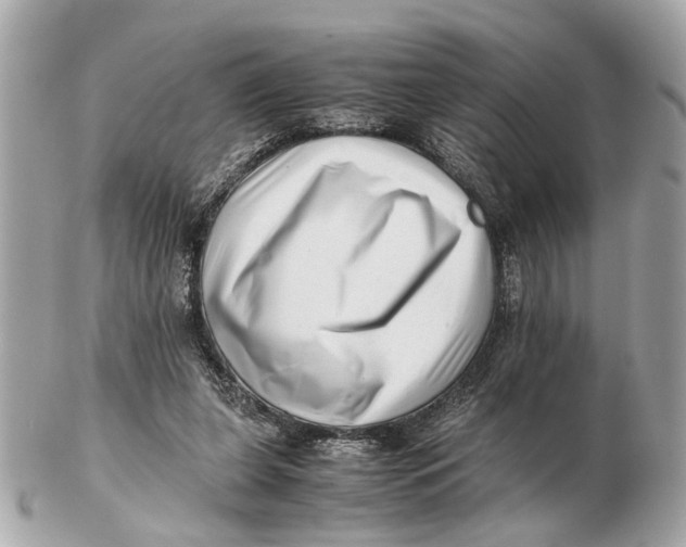 X0000102510255200808291740