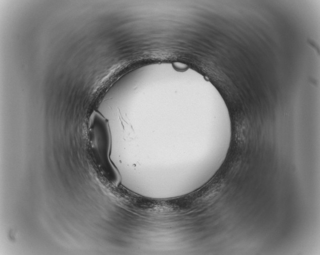 X0000102510256200808291740