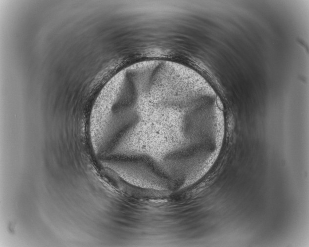X0000102510257200808291740