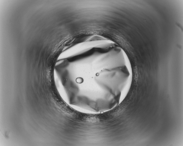 X0000102510258200808291740