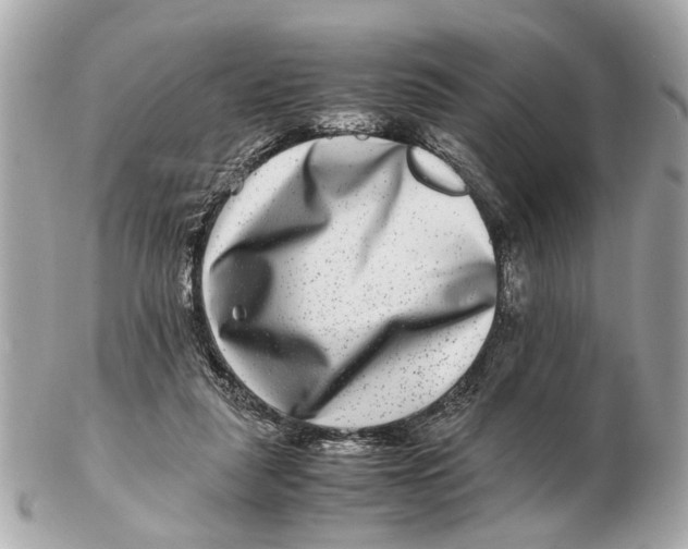 X0000102510259200808291740