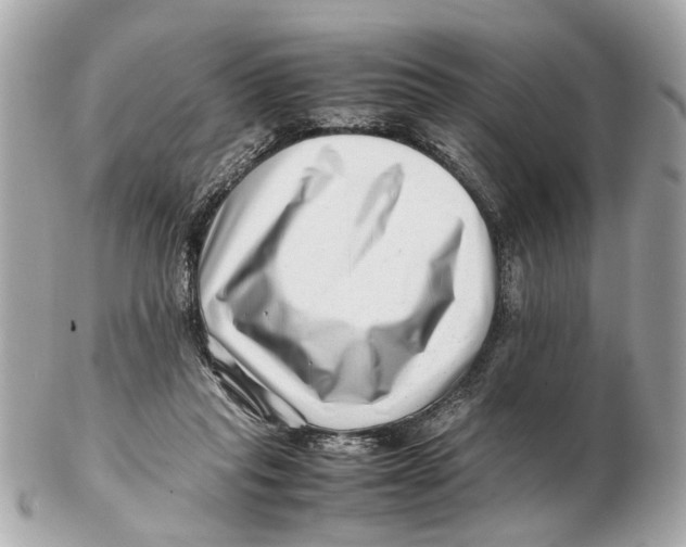 X0000102510261200808291740