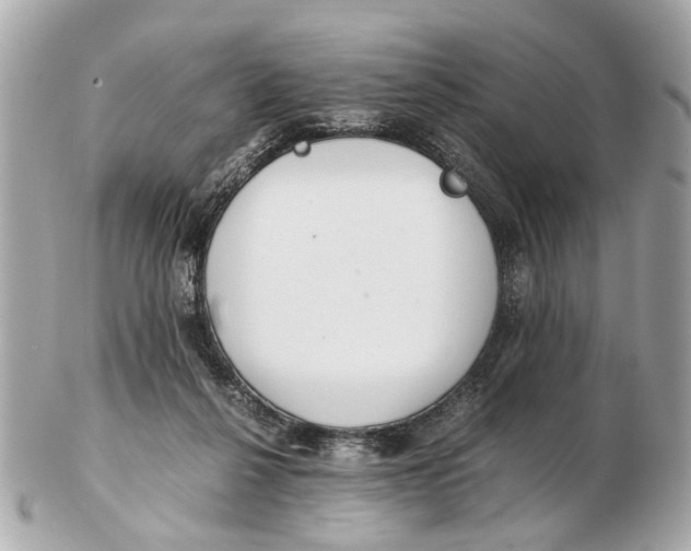 X0000102510264200808291740