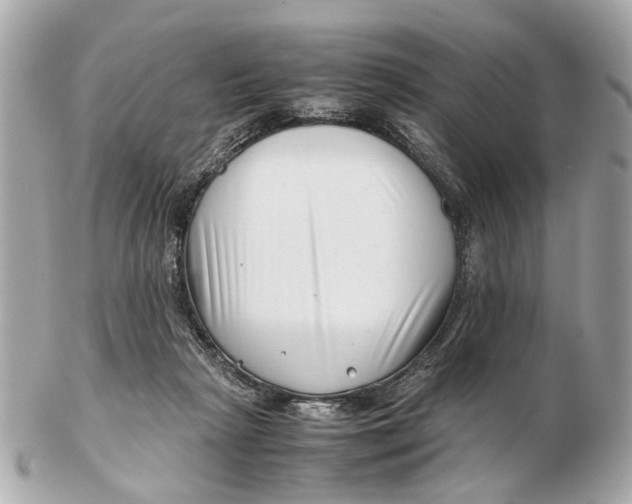 X0000102510265200808291740