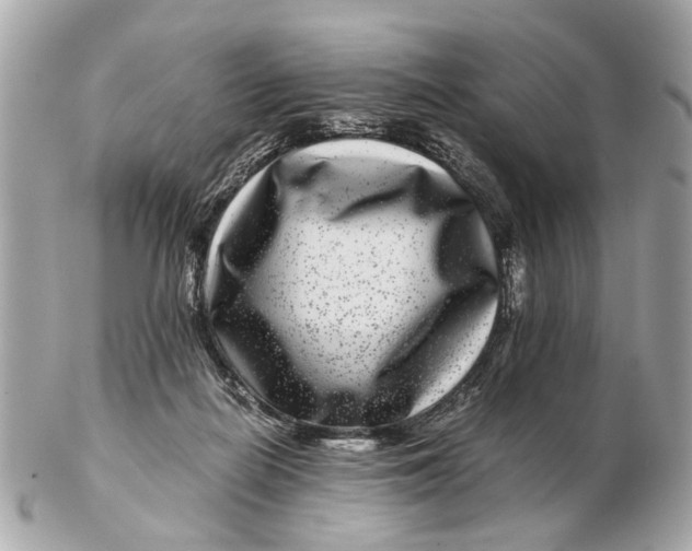 X0000102510266200808291740