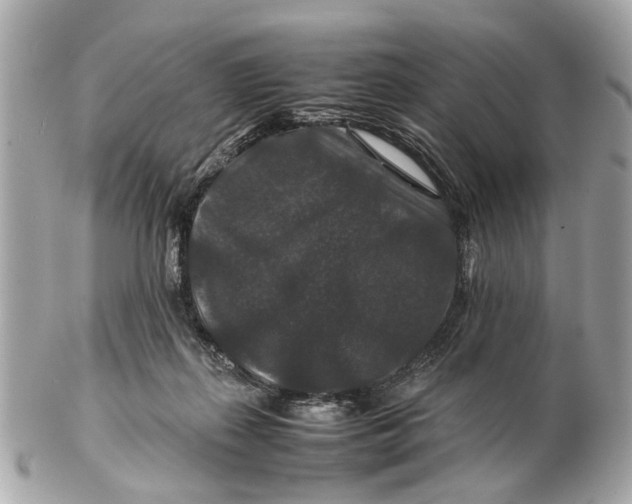 X0000102510267200808291740