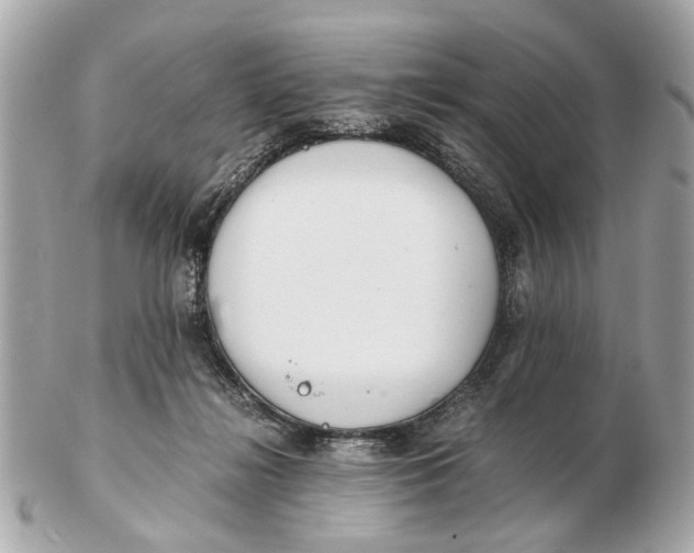 X0000102510268200808291741