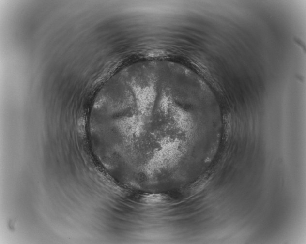 X0000102510269200808291741